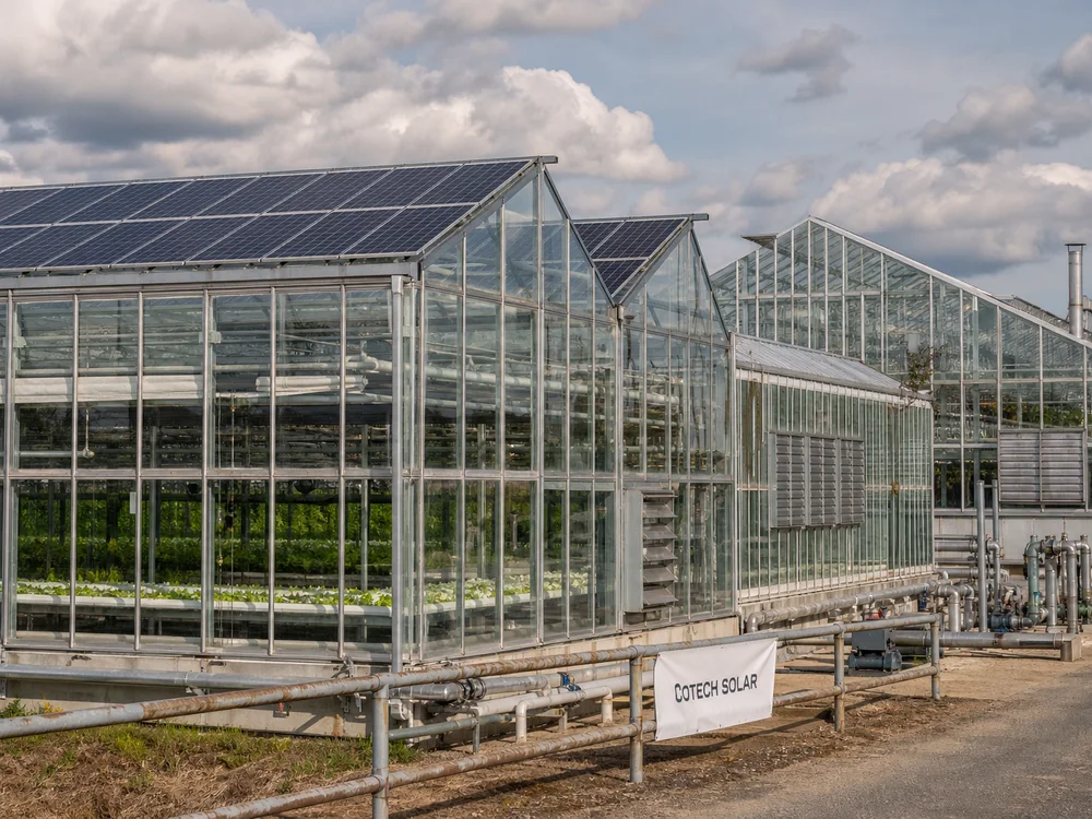 Agrivoltaic